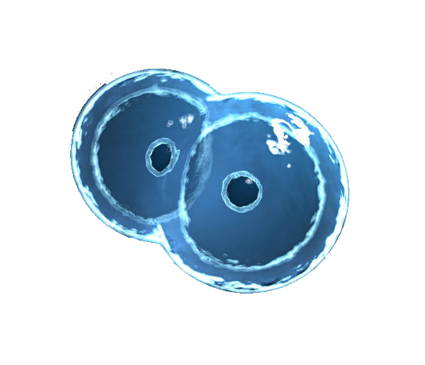 cells-double